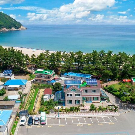 Samcheok Sol Beach Pension Extérieur photo