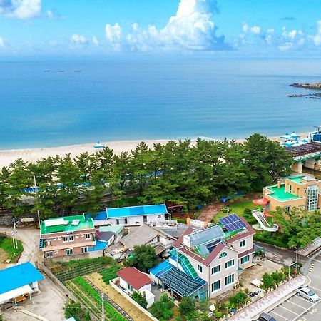 Samcheok Sol Beach Pension Extérieur photo