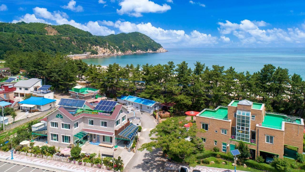 Samcheok Sol Beach Pension Extérieur photo
